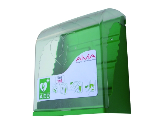 ARMOIRE MURALE INT SS ALARME